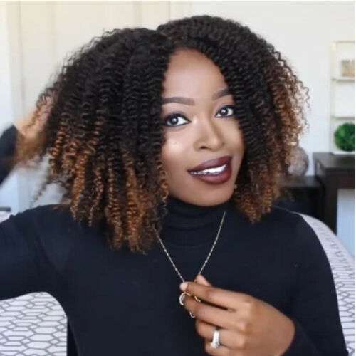 Brown Gradient Afro Curly Wig: Short & Fluffy Synthetic Hair Wig for Black Women - Buy Online at Nilgiri Stores