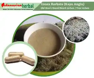 Enriching Herbal Tea: Resh Powder, Old Man's Beard (Usnea Barbata) - Buy Online at Nilgiri Stores