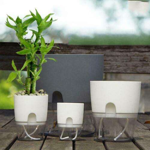Self Watering Plant Pot