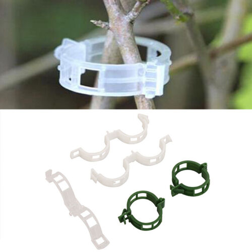 Green Gardening Twine Clips for Plant Support of Tomato, Veggie - 25mm - Buy Online at Nilgiri Stores