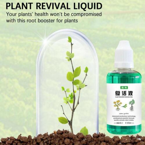 Miracle Root Booster for Enhanced Plant Growth: 50ml Elixir for Indoor Plants and Succulents - Buy Online at Nilgiri Stores