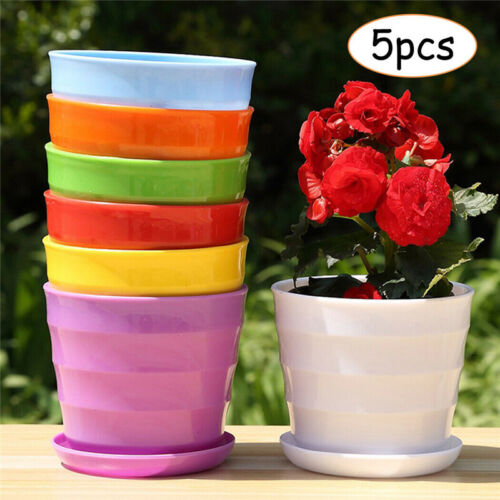 Captivating Colorful Mini Flower Pots with Drainage Plates for Indoor and Outdoor Plant Enthusiasts - Buy Online at Nilgiri Stores